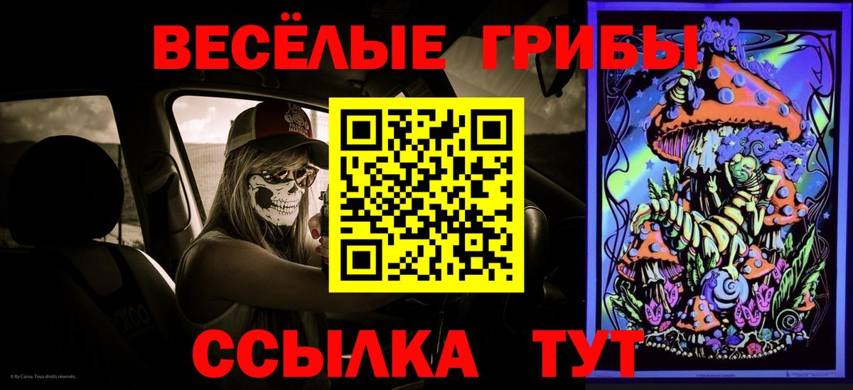 Галлюциногенные грибы мицелий  Галлюциногенные грибы мицелий  Йошкар-Ола  Вход с VPN 