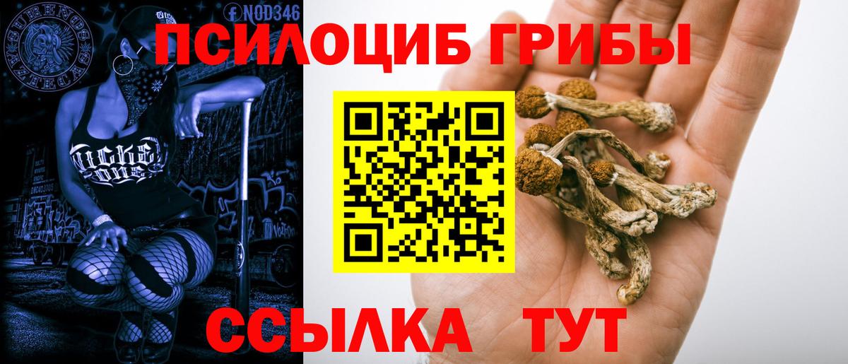 Галлюциногенные грибы прущие грибы Йошкар-Ола